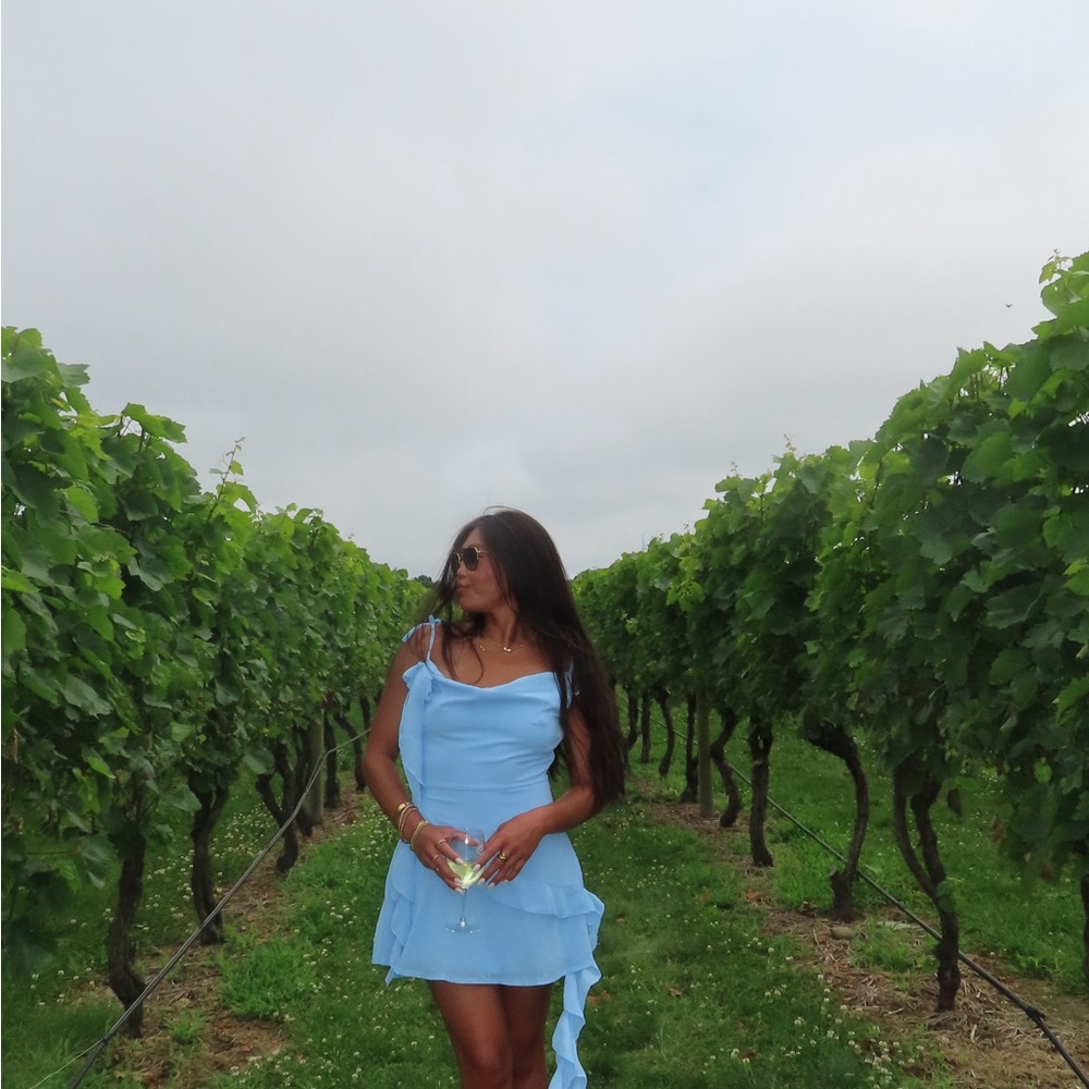 Peppermayo Exclusive - Carina Mini Dress - Blue